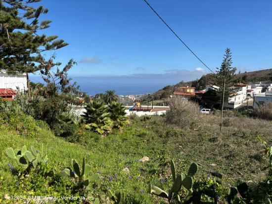 TERRENO URBANIZABLE FIRGAS - LAS PALMAS