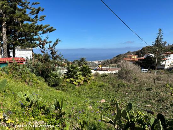 TERRENO URBANIZABLE FIRGAS - LAS PALMAS