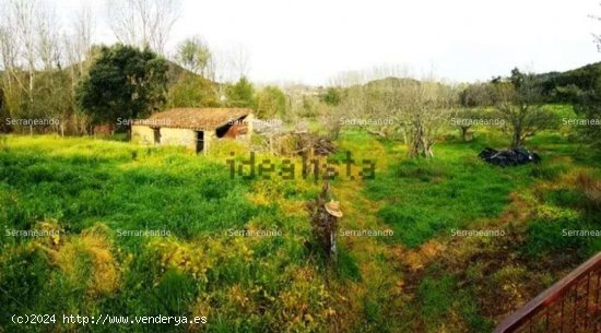  SE VENDE FINCA RUSTICA EN VENTA EN LA NAVA (HUELVA) ESPAÑA. - Nava (La) 