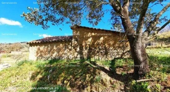 SE VENDE FINCA RUSTICA EN VENTA EN LA NAVA (HUELVA) ESPAÑA. - Nava (La)