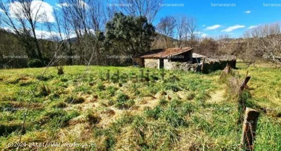 SE VENDE FINCA RUSTICA EN VENTA EN LA NAVA (HUELVA) ESPAÑA. - Nava (La)