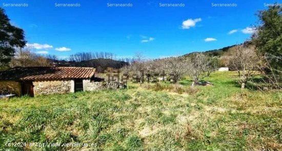 SE VENDE FINCA RUSTICA EN VENTA EN LA NAVA (HUELVA) ESPAÑA. - Nava (La)