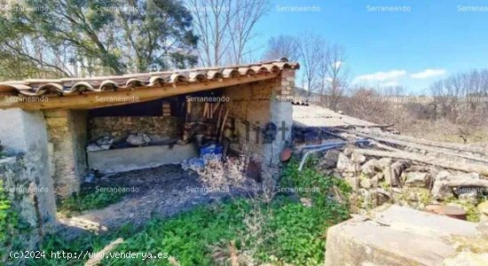 SE VENDE FINCA RUSTICA EN VENTA EN LA NAVA (HUELVA) ESPAÑA. - Nava (La)