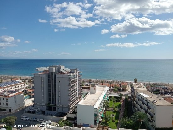 Apartamento en Alquiler en Torremolinos Málaga