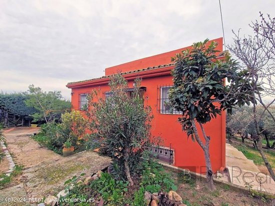 CHALET INDEPENDIENTE DENTRO DE 1,6 HECTÁREAS DE TERRENO RÚSTICO EN VILLANUEVA DE LA CAÑADA (MADRI