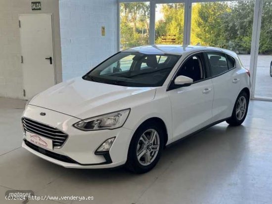 Ford Focus 1.5Ecoblue Trend+ 120 de 2019 con 30.000 Km por 15.990 EUR. en Alava