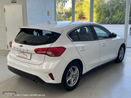 Ford Focus 1.5Ecoblue Trend+ 120 de 2019 con 30.000 Km por 15.990 EUR. en Alava