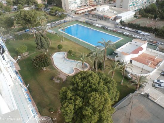  APARTAMENTO EN VENTA DE 1 DORMITORIO EN BENIDORM - ALICANTE 