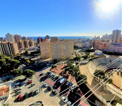 APARTAMENTO EN VENTA DE 1 DORMITORIO EN BENIDORM - ALICANTE