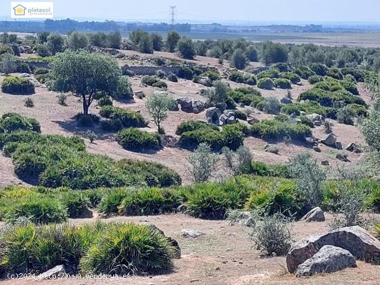 Finca Rústica rural de monte bajo, en un entorno próximo a Sevilla - SEVILLA