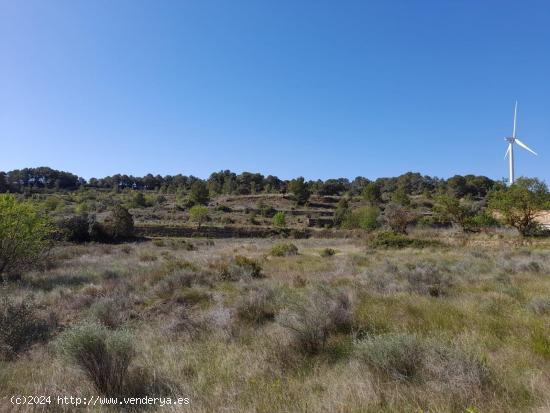 OCASION GRAN FINCA RUSTICA CON EDIFICACIONES A REFORMAR EN GANDESA - TARRAGONA