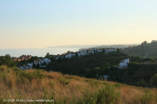 PARCELA URBANA DIRECTA SEGHERS ESTEPONA - MALAGA