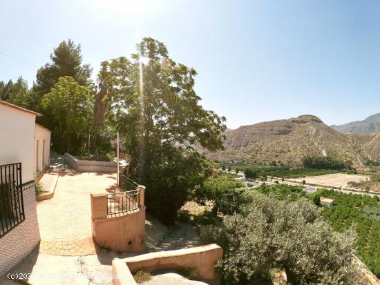 Casa cueva con terreno de 9 áreas en Terque - ALMERIA