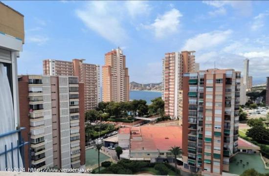 SE VENDE ATICO DE DOS DORMITORIOS CON PARKING EN BENIDORM - ALICANTE