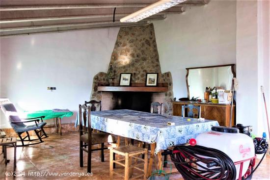 CASA CON TERRENO EN SIERRA DEL SEGURA - ALBACETE