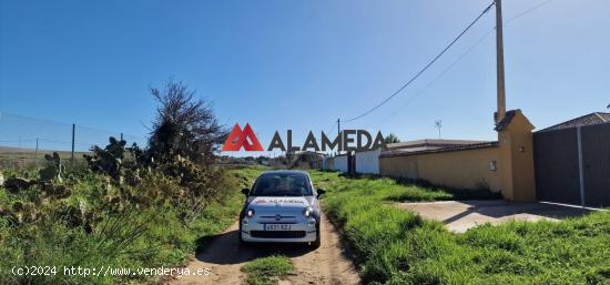 PARCELA RÚSTICA SEGREGADA EN EL MARQUESADO - CADIZ