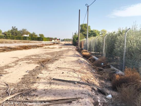 TERRENO RÚSTICO 2.000 M2 DE CULTIVO EN LA PILICA. - MURCIA