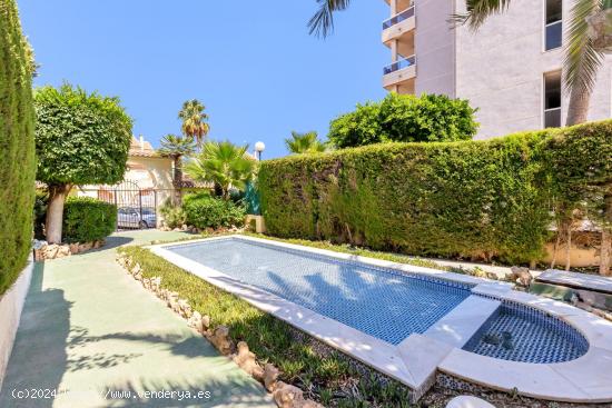 Apartamento orientado al sur en Torreblanca, Torrevieja - ALICANTE