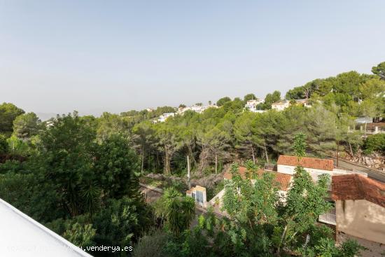 ¿te gustaria vivir en la montaña y cerca del mar? - VALENCIA