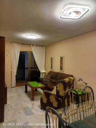 se alquila apartamento 100 metros de la playa larga temporada - MALAGA