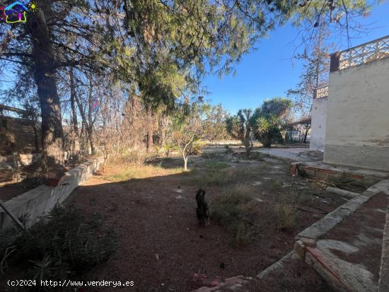 OPORTUNIDAD  CASA DE HUERTA EN PARAJE CAMPOTEJAR - MURCIA