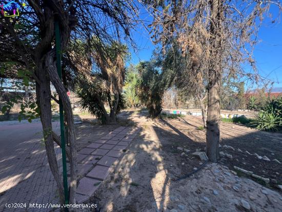 OPORTUNIDAD  CASA DE HUERTA EN PARAJE CAMPOTEJAR - MURCIA