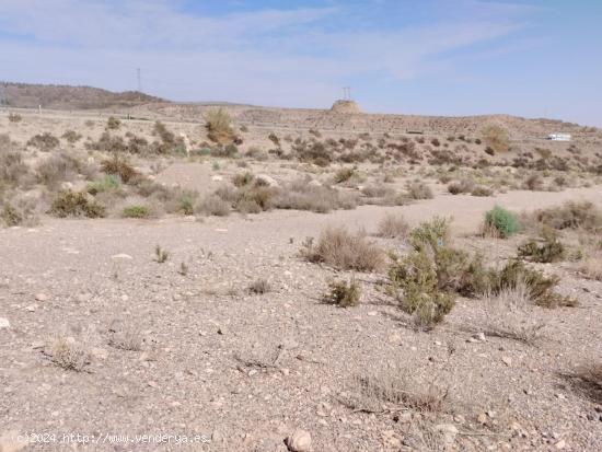  Terreno rustico agrario - MURCIA 