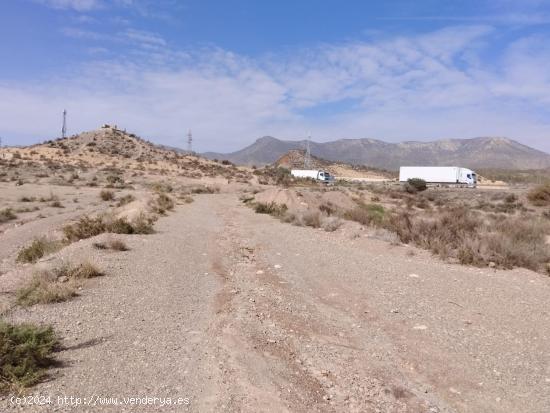 Terreno rustico agrario - MURCIA