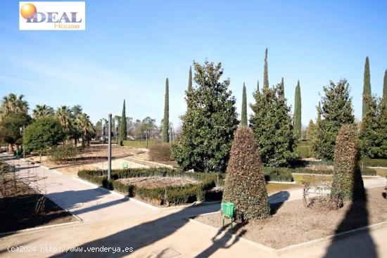 Ref: A4190J6. Local de 198 m2 de superficie en planta sotano en zona Camino de Ronda - GRANADA