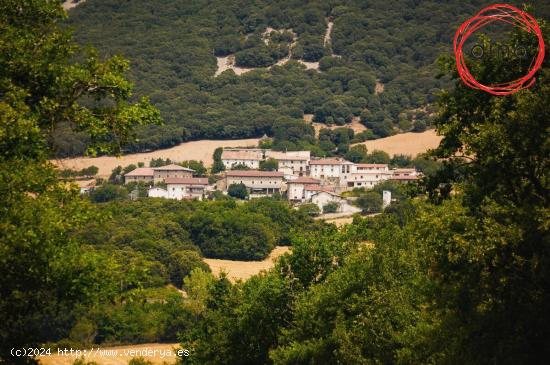 Atondo (Cendea de Iza): Casa pueblo reformada 2006: - NAVARRA