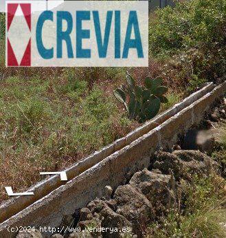 !!!!! ESTUPENDO TERRENO EN SAN JUAN TACORONTE!!!!!!!!!! - SANTA CRUZ DE TENERIFE