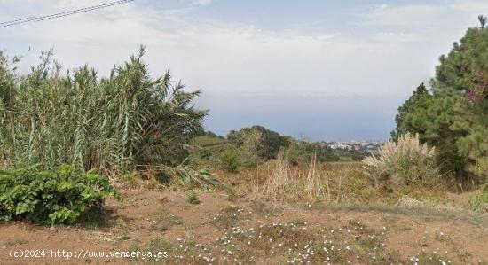  !!!!!!!!!  TERRENO AGRARIO TACORONTE!!!!!!!!!! - SANTA CRUZ DE TENERIFE 