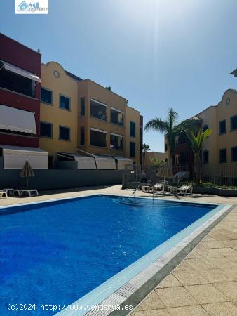 Se vende piso en adeje , zona del Torreón - SANTA CRUZ DE TENERIFE