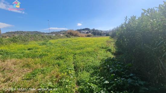 Se vende parcela rústica en San Enrique de Guadiaro - CADIZ