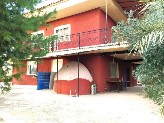 FINCA RUSTICA CON CHALET INDEPENDIENTE - MURCIA