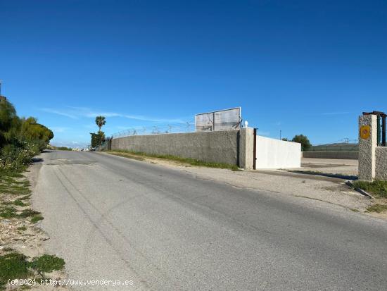 FINCA EN AVD. 1492 PAGO SAN JERONIMO - CADIZ