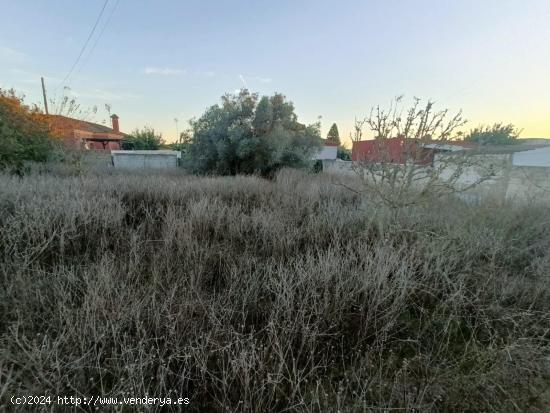 PARCELA SEGREGADA EN LA RANA VERDE - CADIZ