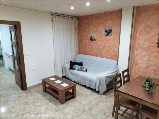  Alquiler Planta Baja de UN DORMITORIO Los Dolores Cartagena - MURCIA 