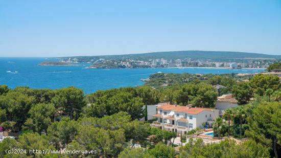  Terreno urbanizable en Costa d'en Blanes - BALEARES 