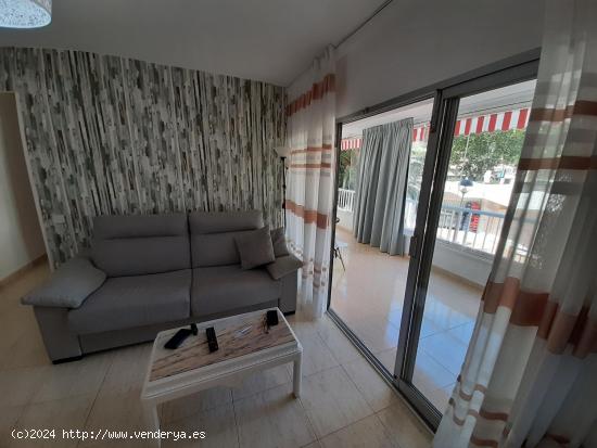 Apartamento reformado de 1 dormitorio en 2ª linea de playa Levante. Con licencia turistica. - ALICA