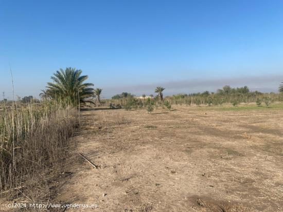 TERRENO RURAL 7500 METROS EN SANTA POLA - ALICANTE