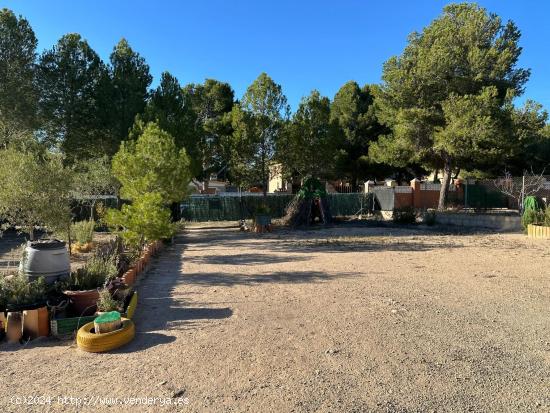 PARCELA EN FINCA TEROL - JIJONA - ALICANTE