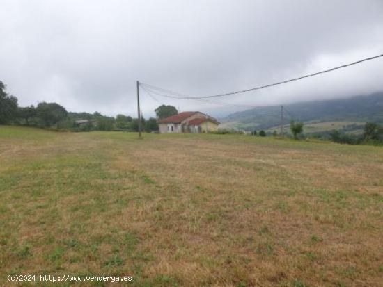  CASA CON 10000M2  DE TERRENO - BURGOS 