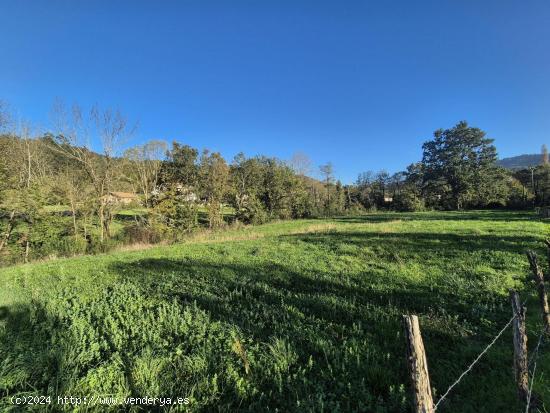 EN VENTA TERRENO RÚSTICO EN VALLE DE VILLAVERDE - CANTABRIA