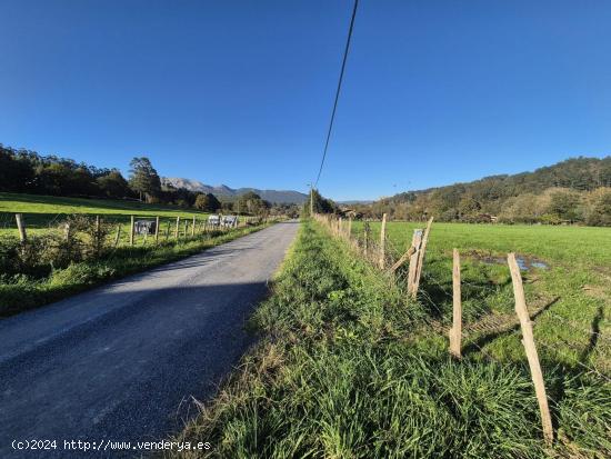 EN VENTA TERRENO RÚSTICO EN VALLE DE VILLAVERDE - CANTABRIA