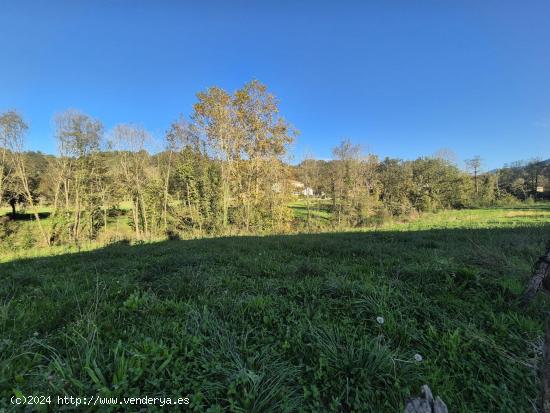 EN VENTA TERRENO RÚSTICO EN VALLE DE VILLAVERDE - CANTABRIA