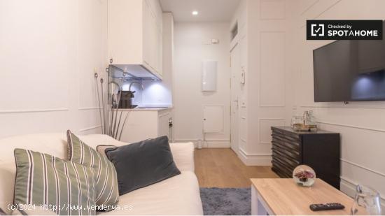 Piso en alquiler de 1 dormitorio en Barrio de las Letras, Madrid - MADRID