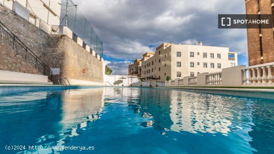 Apartamento entero de 1 dormitorio en Comunidad Valenciana - ALICANTE