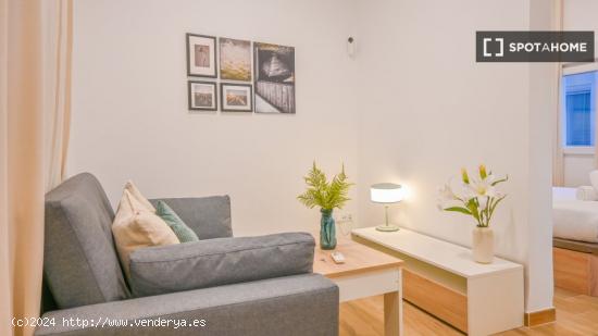 Apartamento entero de 1 habitaciones en Madrid - MADRID