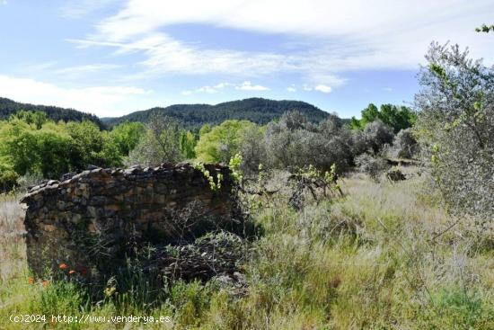 Se Vende en La Fresneda - TERUEL